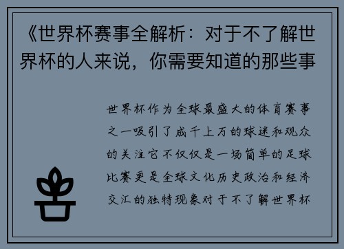 《世界杯赛事全解析：对于不了解世界杯的人来说，你需要知道的那些事》